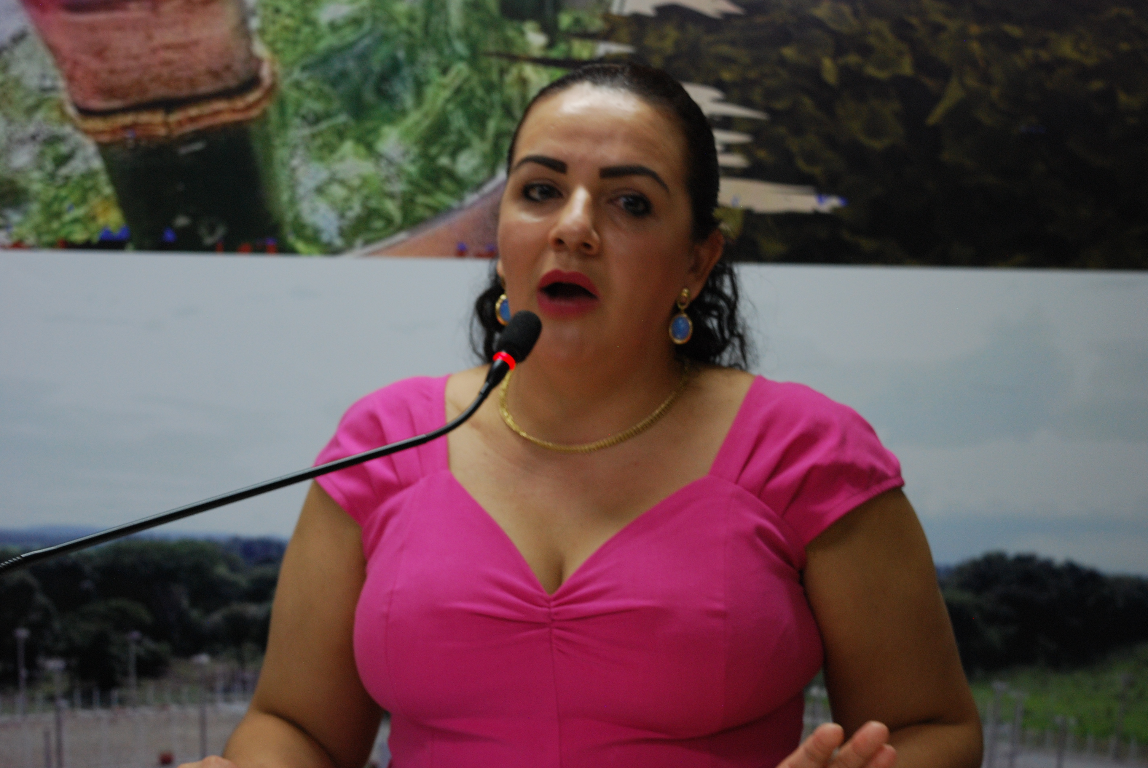 AGORA É ELA: ROSE LEITÃO SE POSICIONA CONTRA PROJETO DE DOAÇÃO DE TERRENOS AGORA É ELA: ROSE LEITÃO SE POSICIONA CONTRA PROJETO DE DOAÇÃO DE TERRENOS