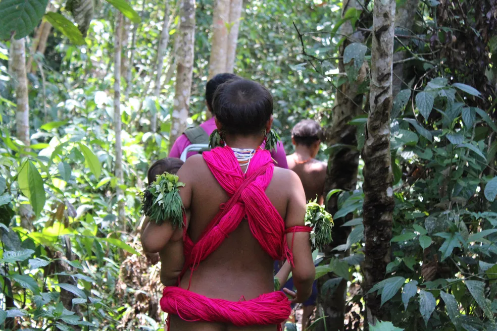 Garimpeiros exigem sexo com meninas e mulheres ianomâmi em troca de comida, aponta relatório