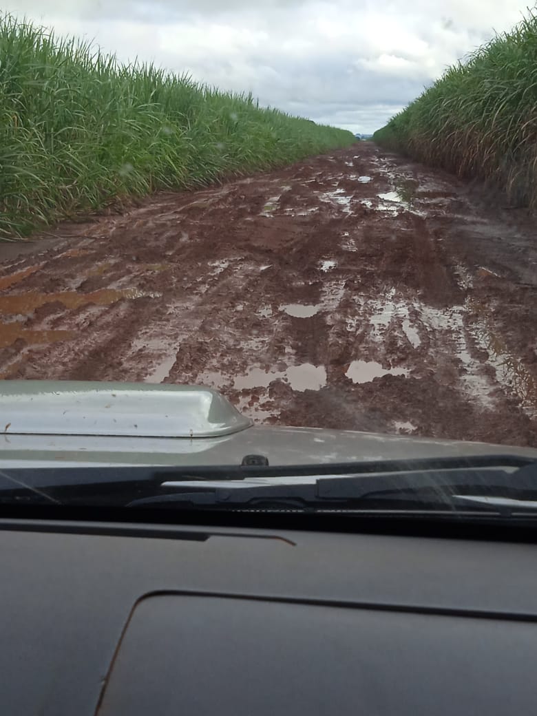 NOVA ALVORADA:  ABANDONADA PELA ADMINISTRAÇÃO, POPULAÇÃO DO ZUZU PEDE SOCORRO