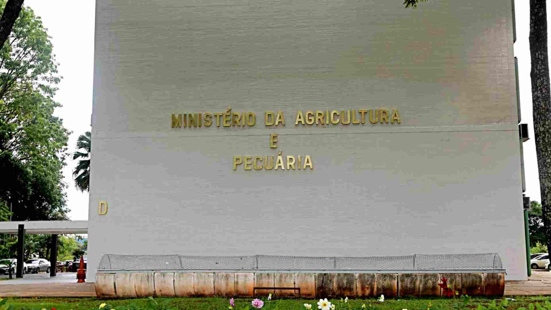 Ex-chefe em divisão do Mapa é nomeada para o Escritório do Desenvolvimento Agrário em MS