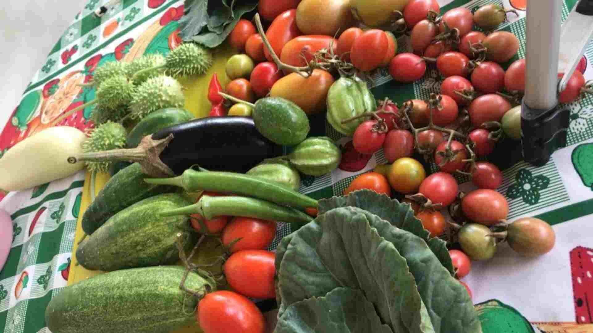 Para entregar alimentos nas aldeias indígenas, Ministério repassa R$ 700 mil para MS