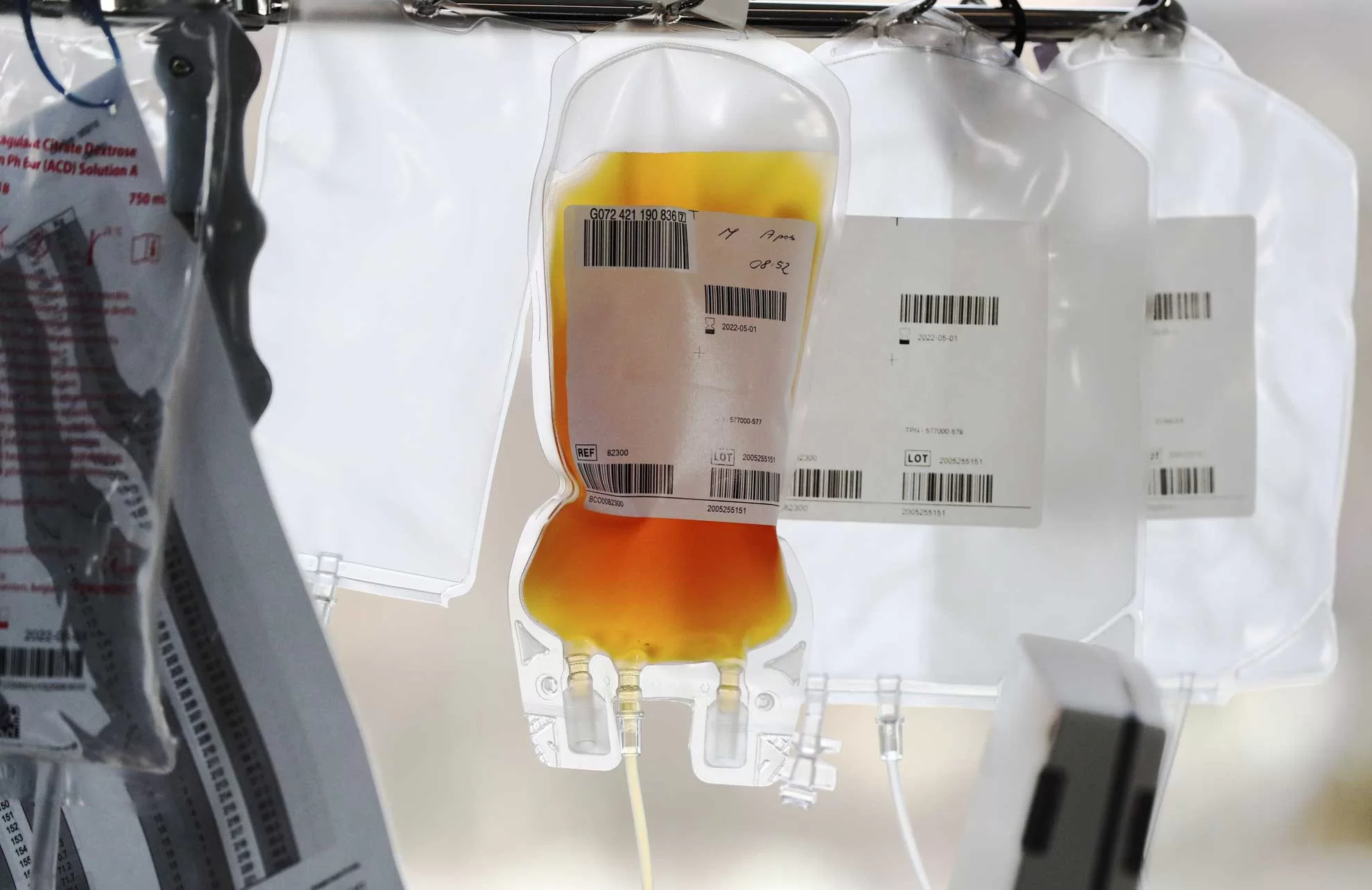 PEC que permite venda de plasma avança e ameaça soberania do SUS