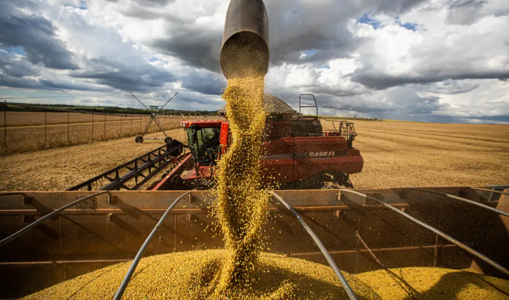 IBGE confirma boom agrícola! Safra de 2025 impressiona