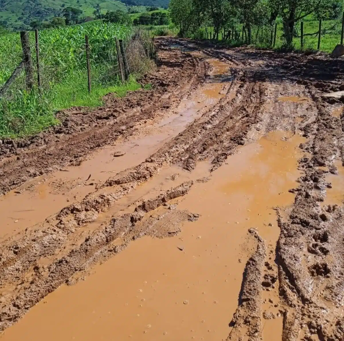 Vereador Adão Evandro cobra governador Eduardo Riedel sobre asfaltamento da Estrada do Suez