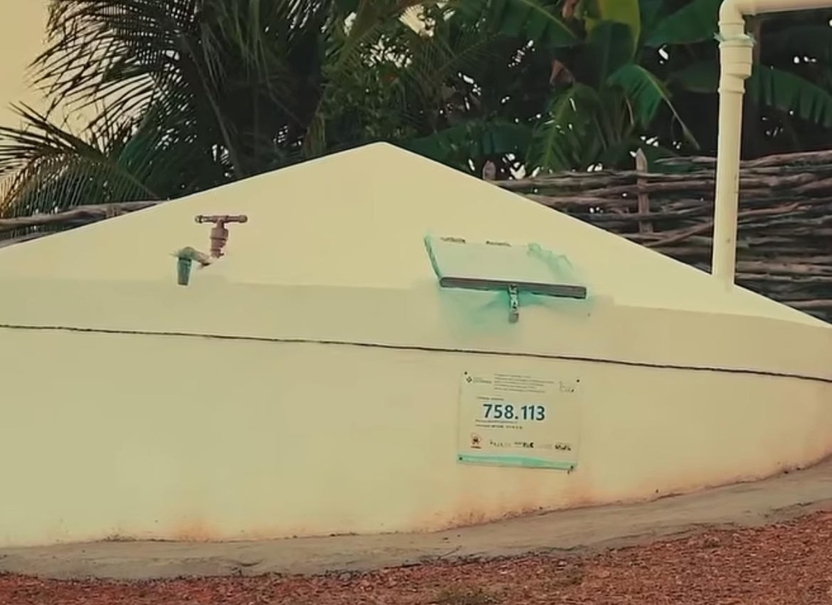 PL de Bolsonaro faz propaganda com logomarca do governo Lula; vídeo